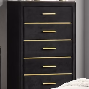 BFM-100 Chest